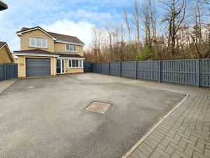 Photo 15- click for photo gallery